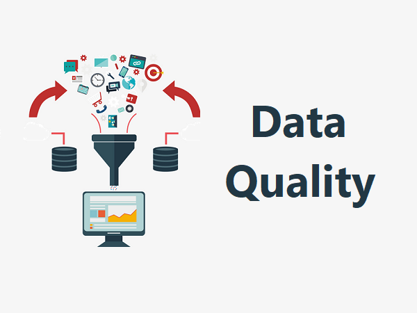 Data Quality là gì