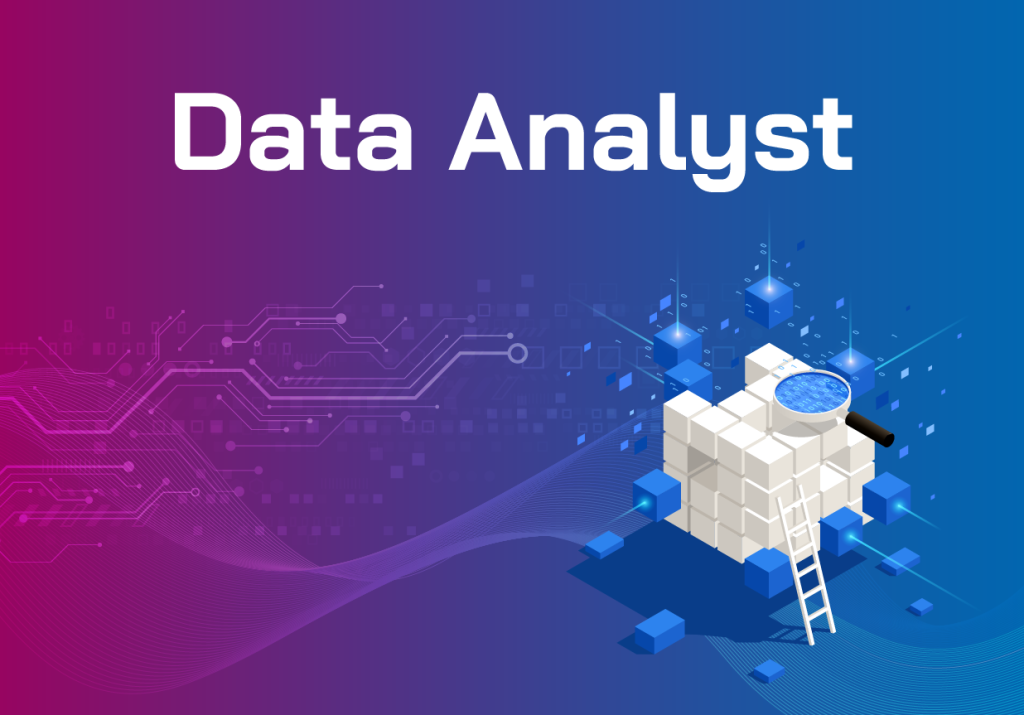data analyst