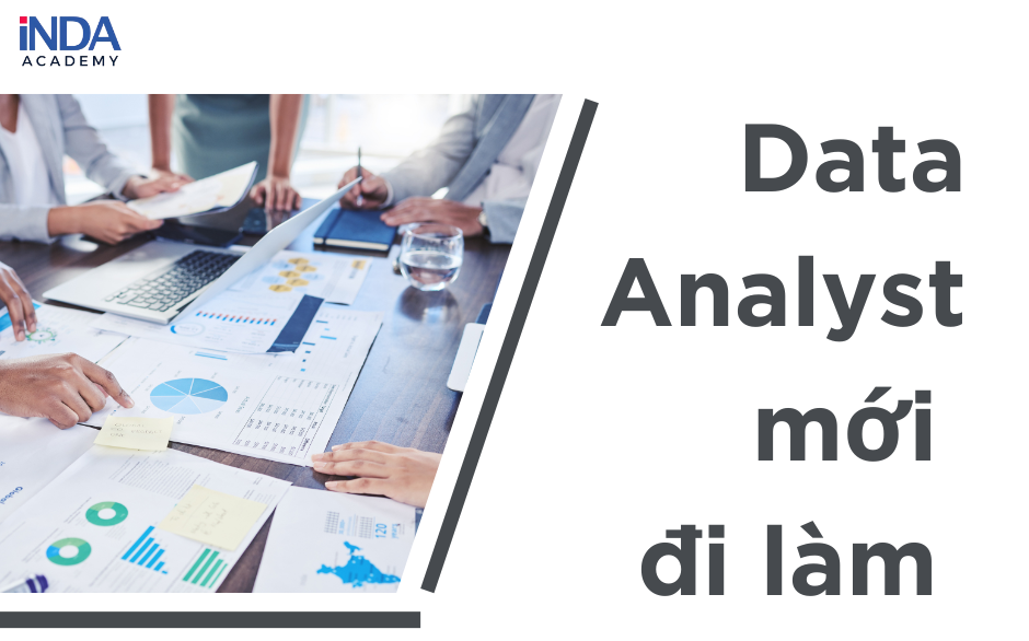 data analyst mới đi làm
