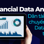 Financial Data Analyst