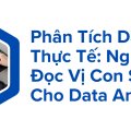 Phân tích dataset thực tế